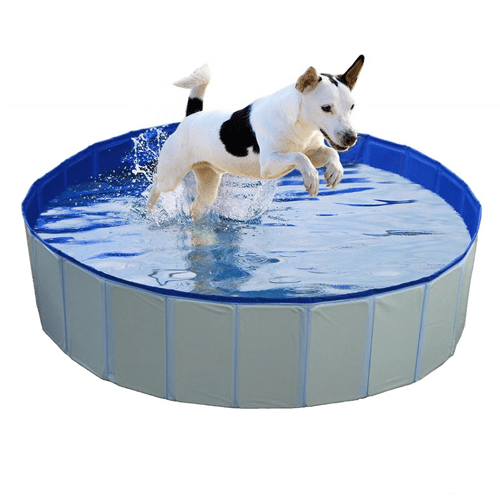 Duvo bazen za pse